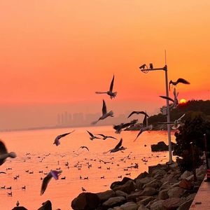 男人添女人b的视频
